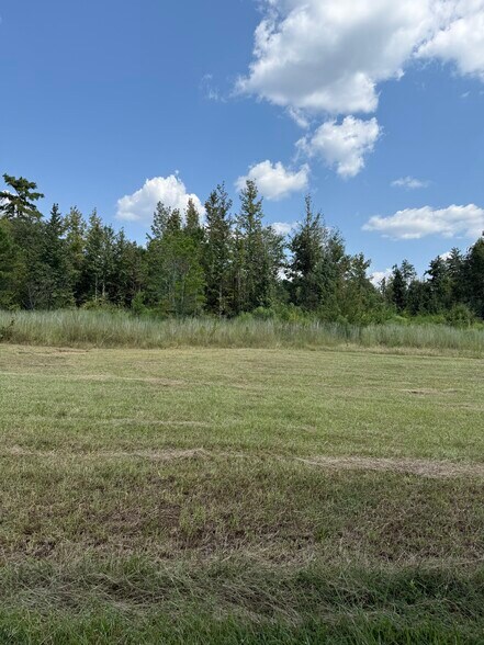 Primary Photo Of 0 ALEX Rd, Gloster Land For Sale