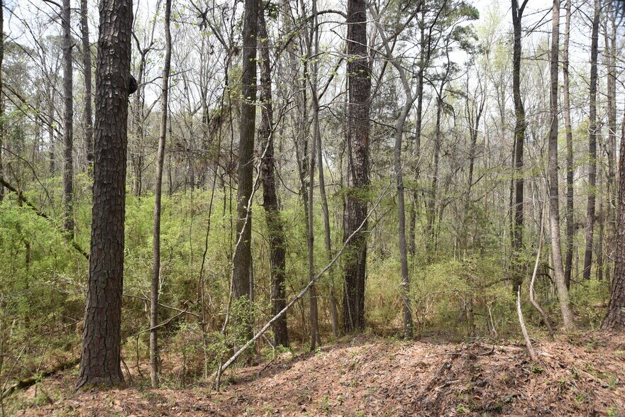 More Photos Of Warm Springs Rd @ GA-208, Waverly Hall Land For Sale