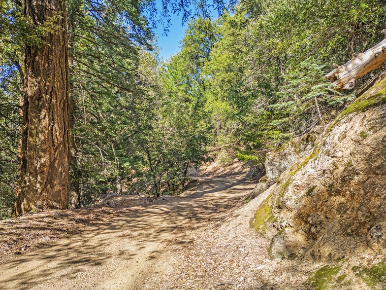 More Photos Of Palomar Divide Truck Trail, Palomar Mountain Land For Sale
