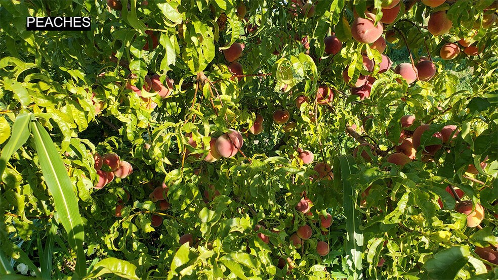 More Photos Of 13915 US 70, Fort Thomas Land For Sale