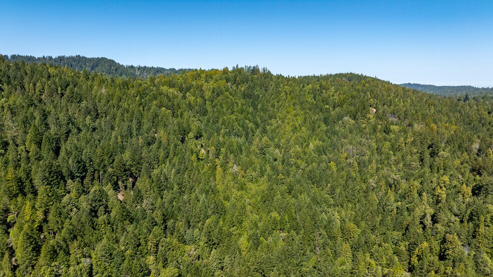 More Photos Of 8555 Signal Ridge Road, Philo Land For Sale