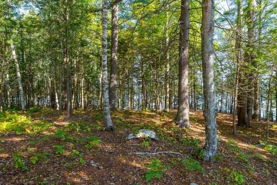More Photos Of 48 Route One, Edgecomb Land For Sale