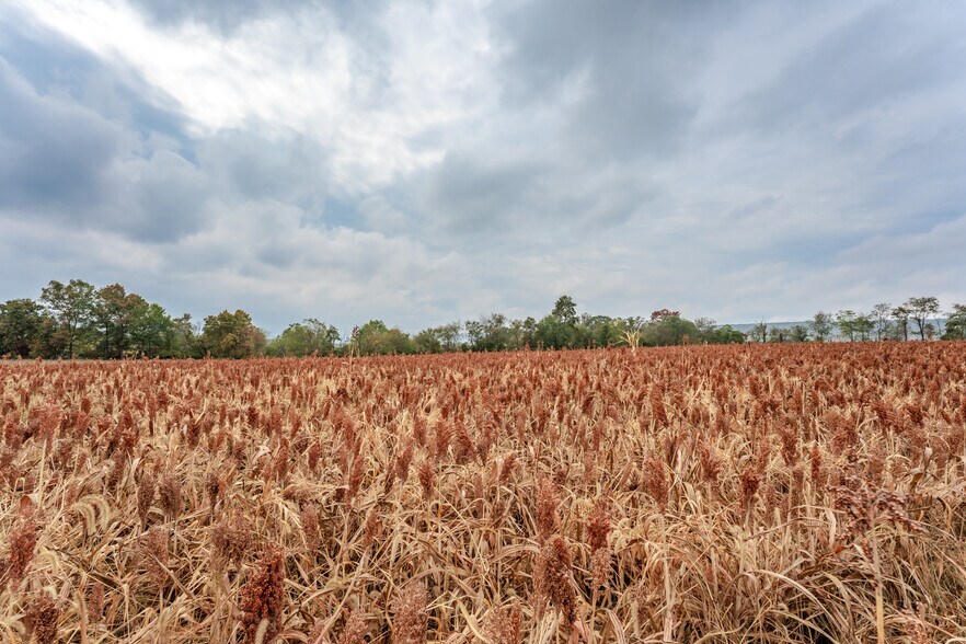 More Photos Of 7573 Springhouse Rd, New Tripoli Land For Sale