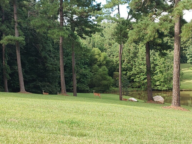 More Photos Of 611 Old E C Womack Rd, Sanford Land For Sale