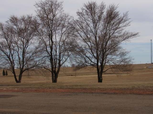 More Photos Of 681 7th St SW, Halliday Hotel For Sale