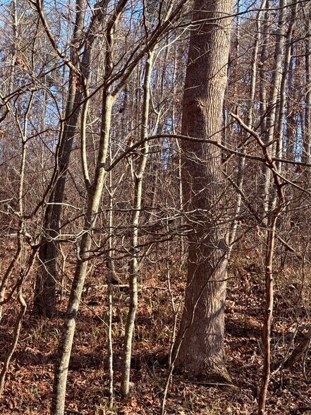 More Photos Of 4604 Summersville Rd, Campbellsville Land For Sale