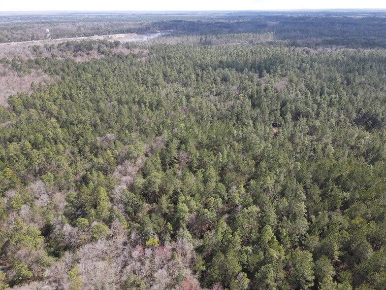 More Photos Of 0 Highway 43 N., Axis Land For Sale