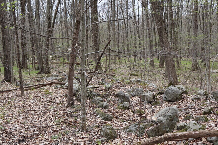 More Photos Of 330 Plutarch Rd, Highland Land For Sale