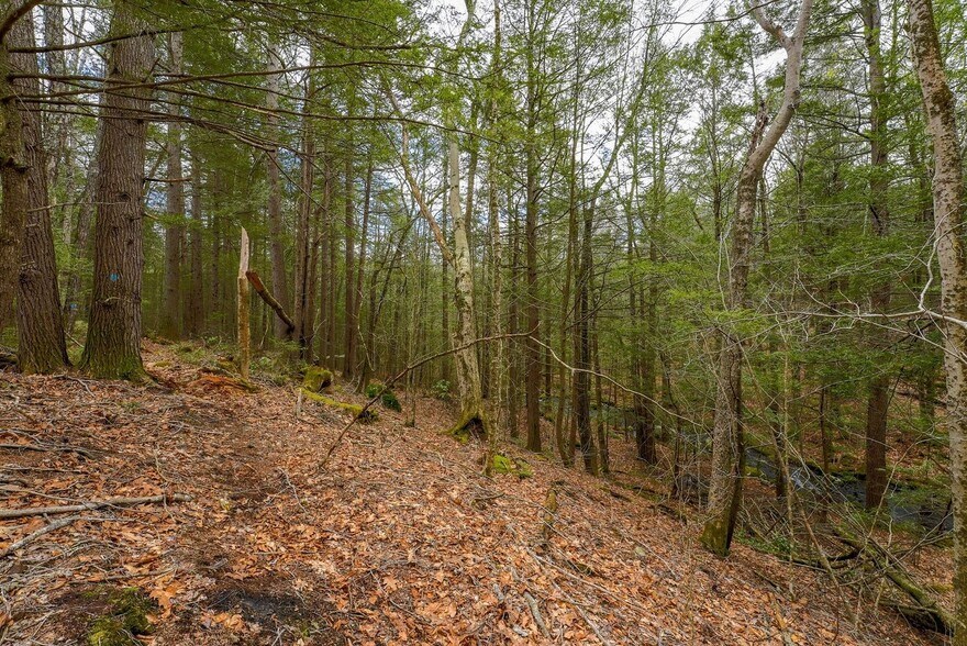 More Photos Of 291 Fomer Road, Southampton Land For Sale