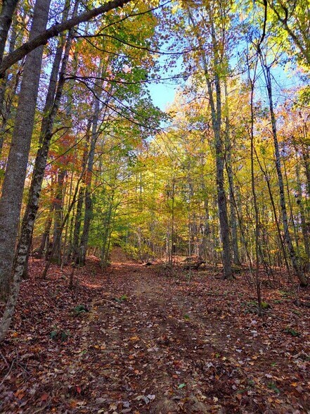 More Photos Of 0 Old Pluto Rd, Shady Spring Land For Sale