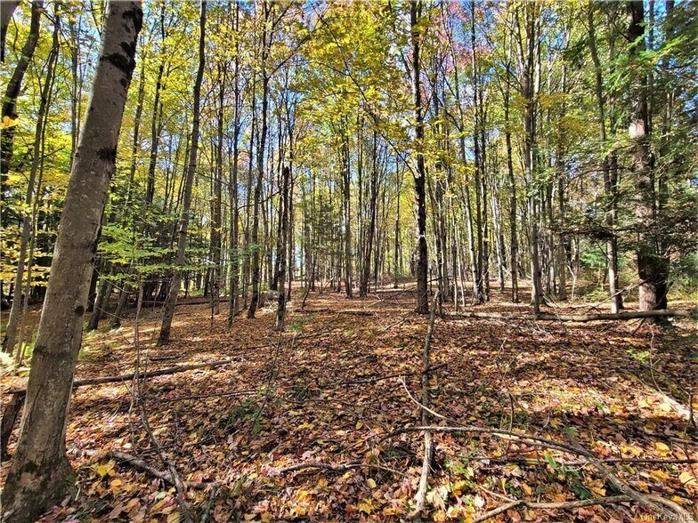 More Photos Of Kaufman Rd, Monticello Land For Sale