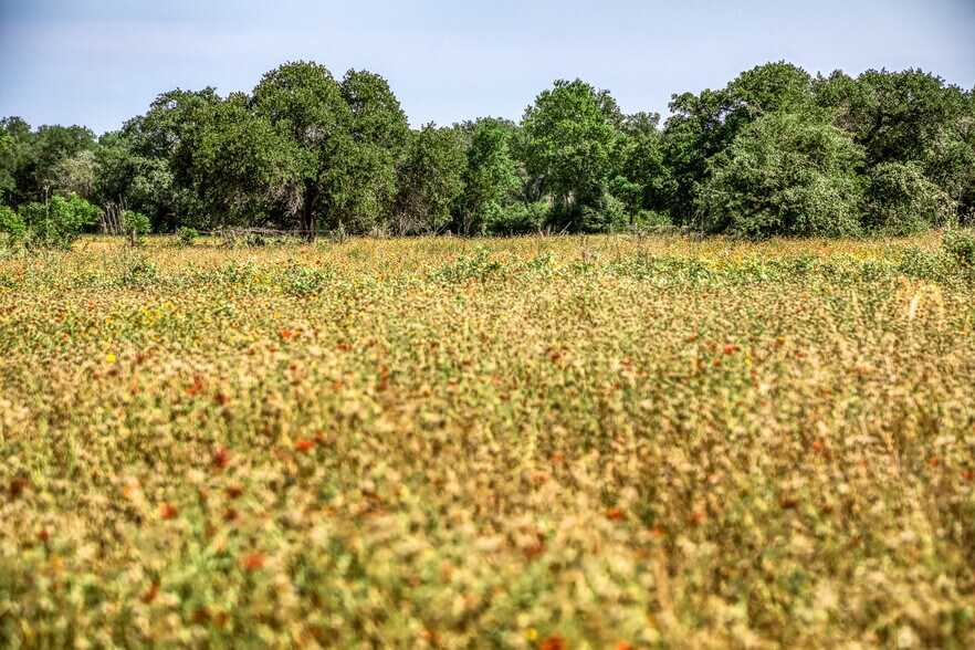 More Photos Of TBD (+/-88 Acres) Smith Rd, Bastrop Land For Sale
