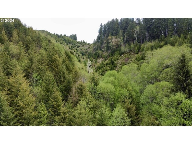 More Photos Of 18-10-00-00-01300500, Mapleton Land For Sale