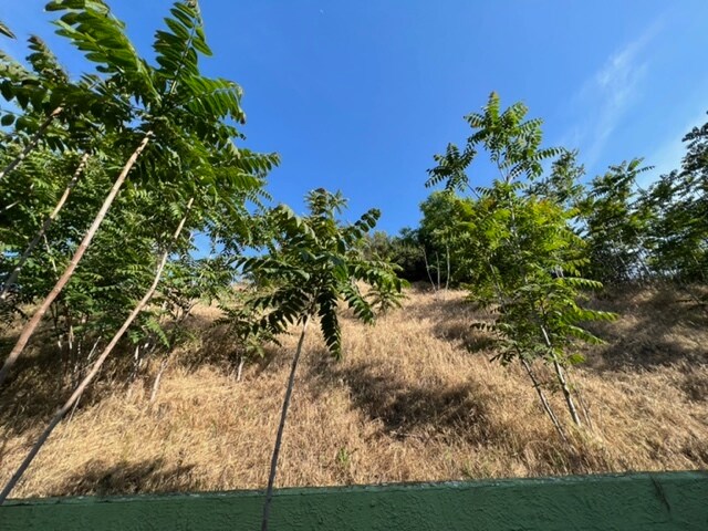 More Photos Of 470 E Crescent Ave, Redlands Specialty For Sale