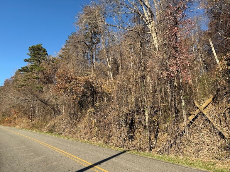 More Photos Of Whitepath Rd, Ellijay Land For Sale