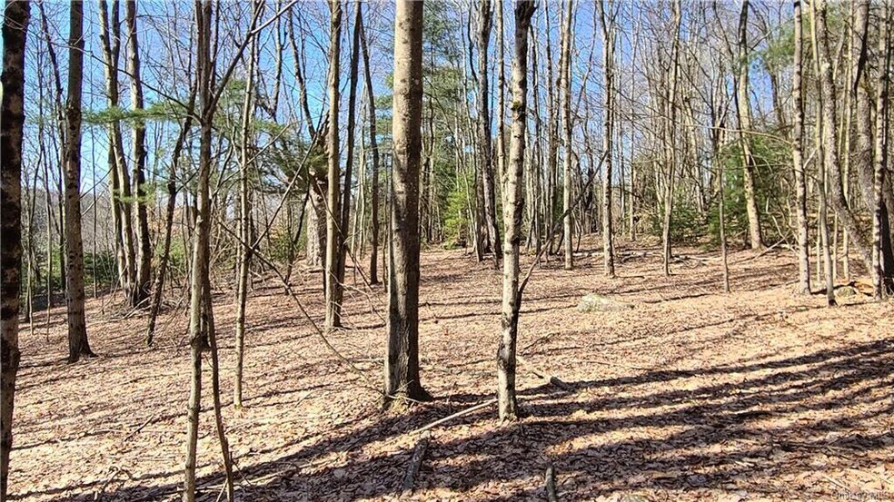 More Photos Of Old Route 17 @ County Route 174, Harris Land For Sale