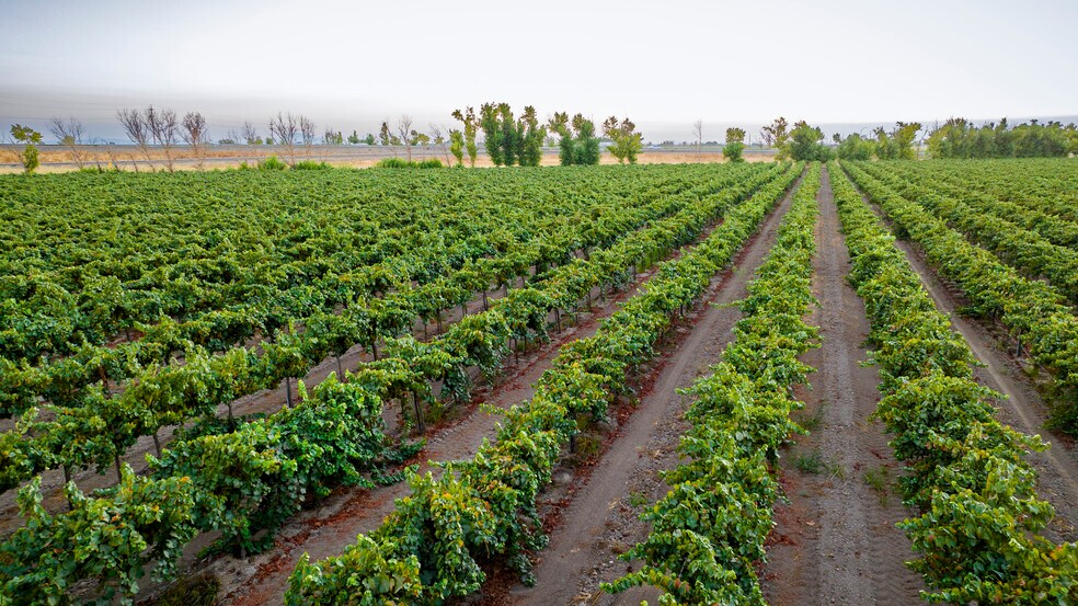 More Photos Of TFC Ranch, Lodi Land For Sale