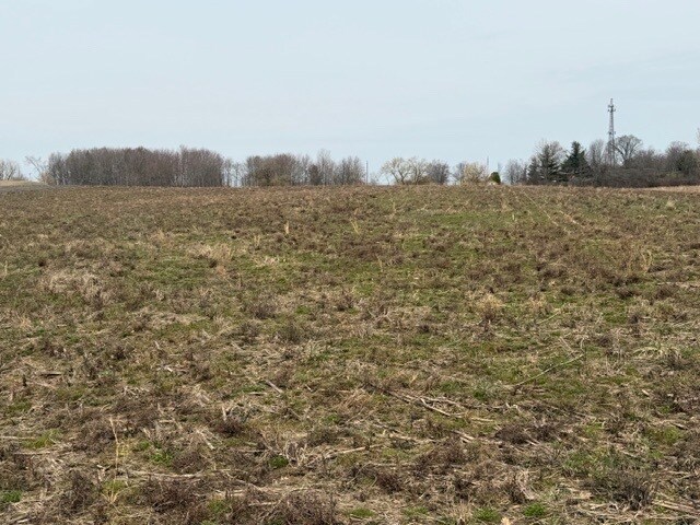 More Photos Of Approx. 4593 S Madison Rd, Madison Land For Sale