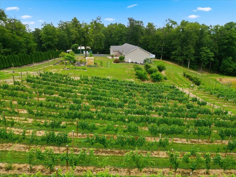 More Photos Of 1309 Redland Rd, Cross Junction Winery Vineyard For Sale