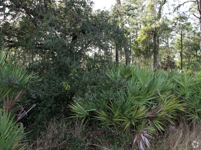 More Photos Of US 41, Fort Myers Land For Sale