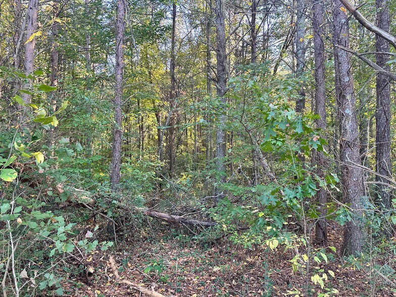 More Photos Of 00 NE Hwy 411, Rydal Land For Sale