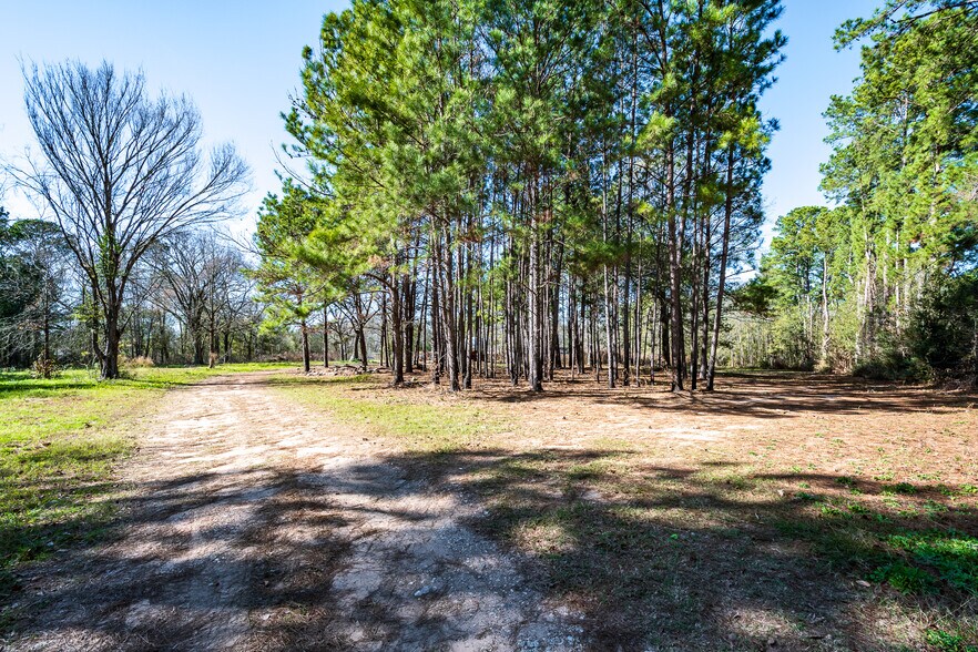 More Photos Of 31865 FM 1485 Rd, New Caney Land For Sale