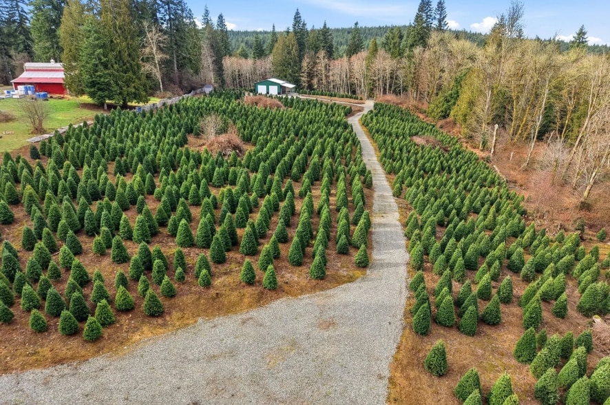 More Photos Of 19420 Abbey Ln SE, Bucoda Lumberyard For Sale