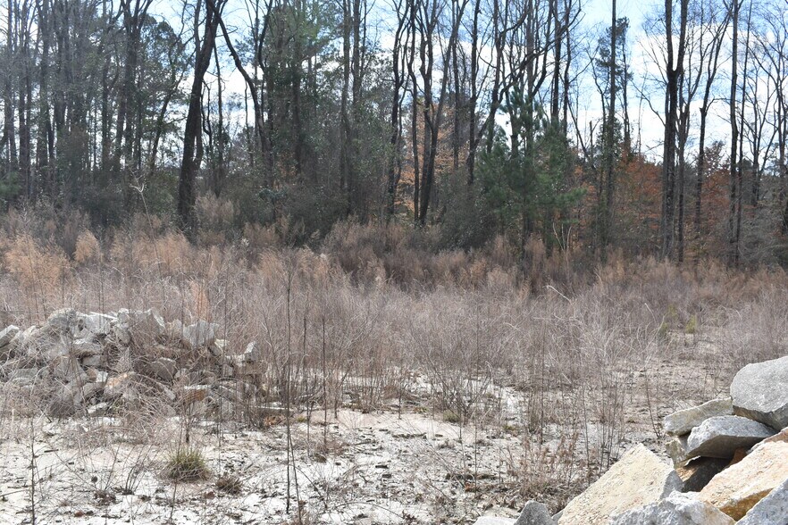More Photos Of 3079 Lenora Church Rd, Snellville Land For Sale