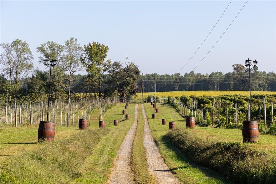 More Photos Of 667 Hustle Rd, Hustle Winery Vineyard For Sale