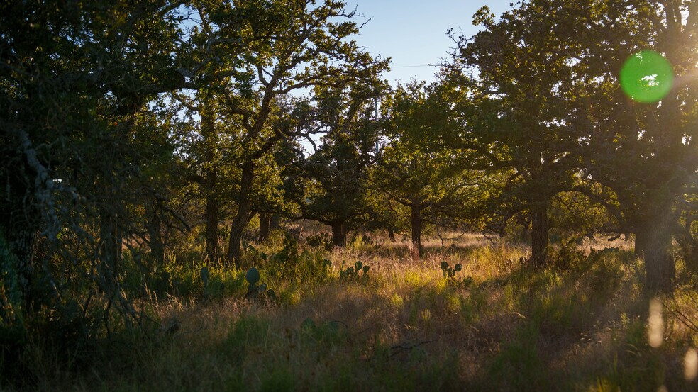 More Photos Of 7499 US 87 hwy, Mason Land For Sale