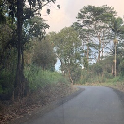 More Photos Of 3-1-5-002-002, Pahoa Land For Sale