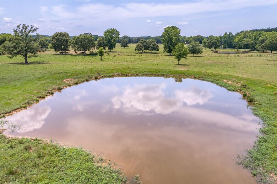 More Photos Of 17104 County Road 1100, Flint Land For Sale
