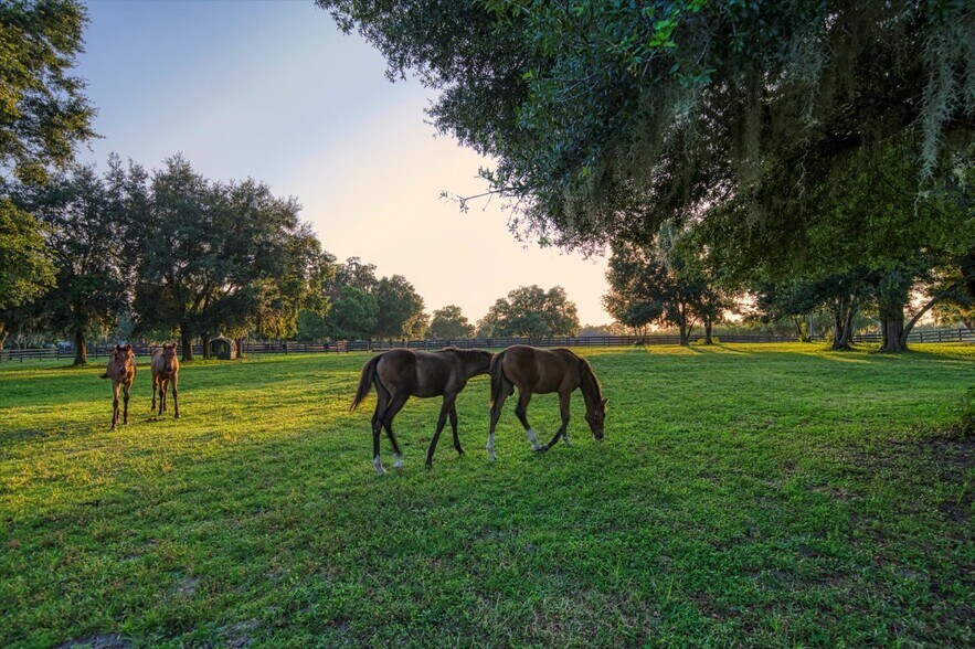 More Photos Of 7650 N Whippoorwill Ter, Hernando Horse Stables For Sale
