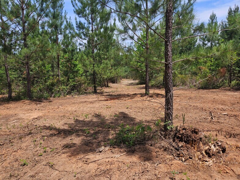 More Photos Of 0 Huffman Ave, Connelly Springs Land For Sale