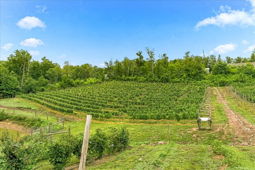 More Photos Of 1309 Redland Rd, Cross Junction Winery Vineyard For Sale