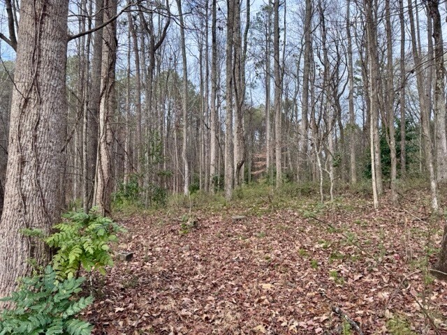 More Photos Of 1300 Peachtree Pky, Cumming Land For Sale