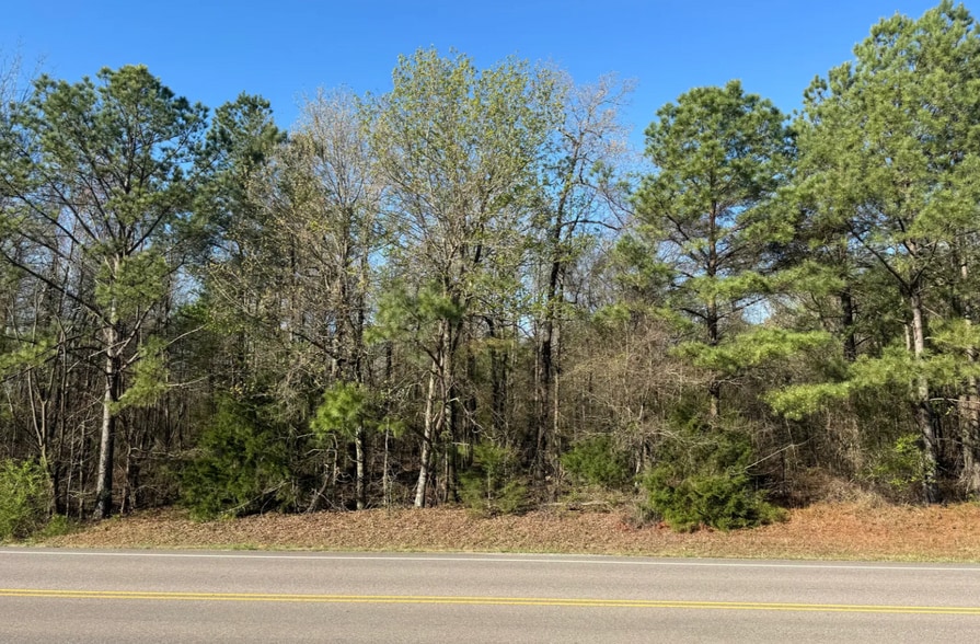 More Photos Of 53 Acres On George Roy Pky, Calera Land For Sale