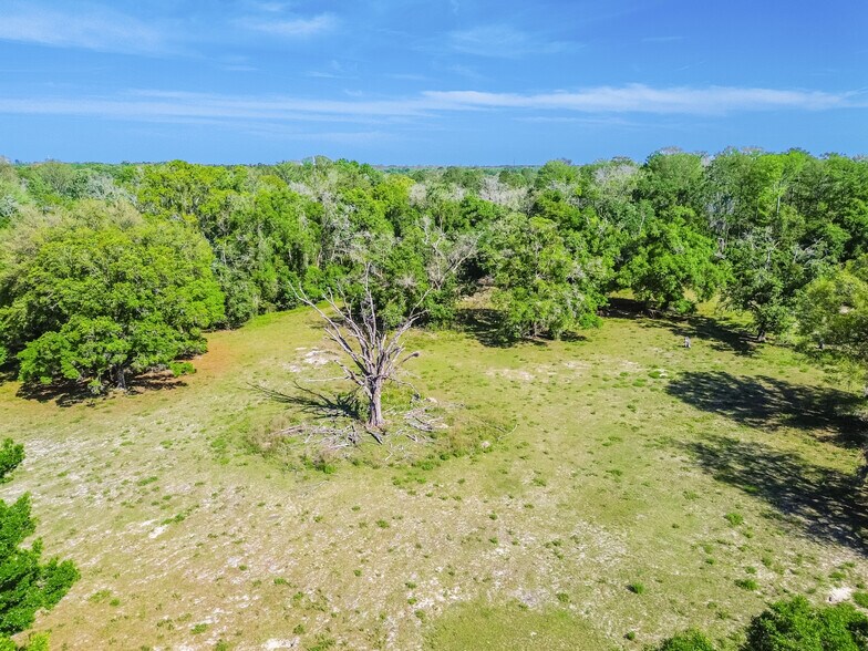 More Photos Of 12500 Hamlin Rd, Spring Hill Land For Sale