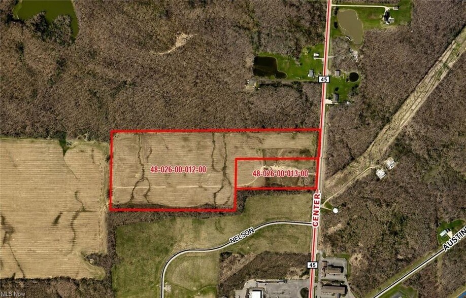 Primary Photo Of 9019 Sr 45 Rd, Rome Land For Sale