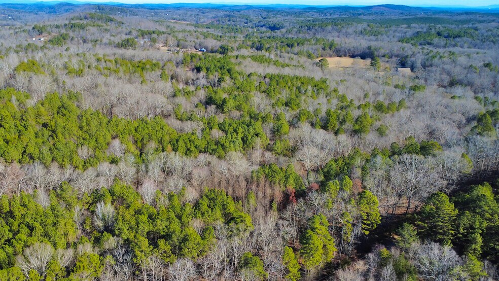 More Photos Of 277 Bethel Church Rd SE, Silver Creek Land For Sale