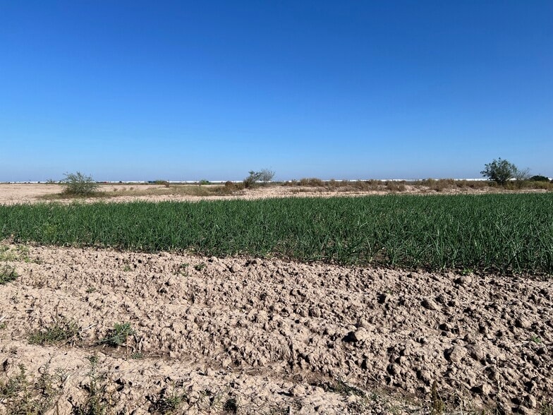 More Photos Of 271.62 Acs on West side of Pharr Intl. Bridge, Pharr Land For Sale