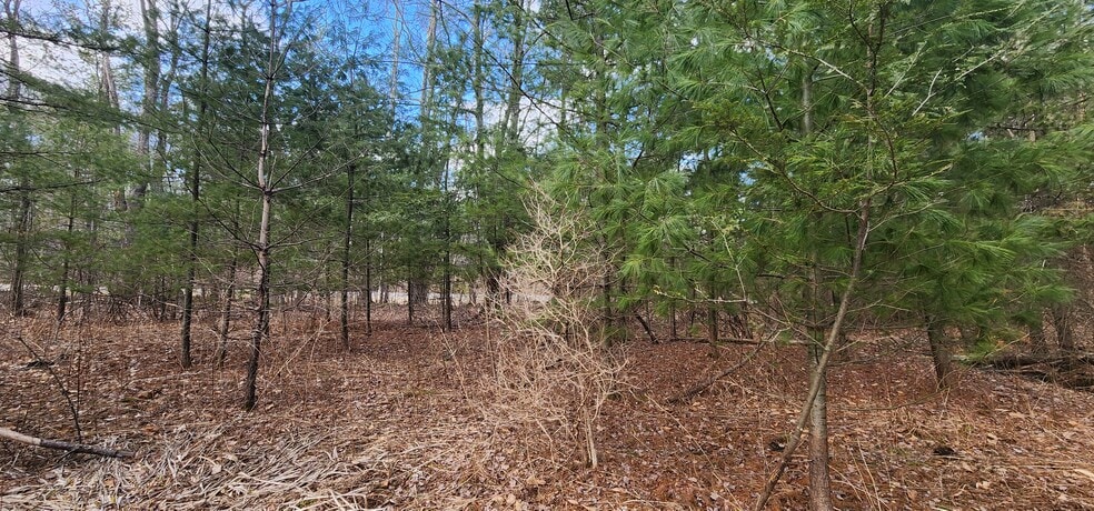 More Photos Of 42 Concord rd, Kiamesha Lake Land For Sale