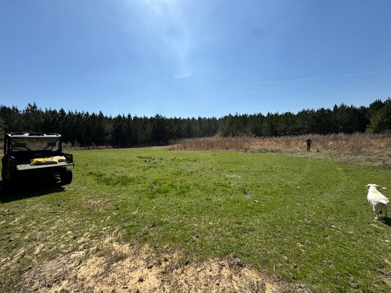 More Photos Of 10831 Highway 9, Kellyton Land For Sale