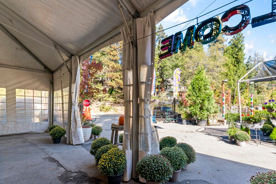 More Photos Of 303 CA-173 Hwy, Lake Arrowhead Garden Center For Sale