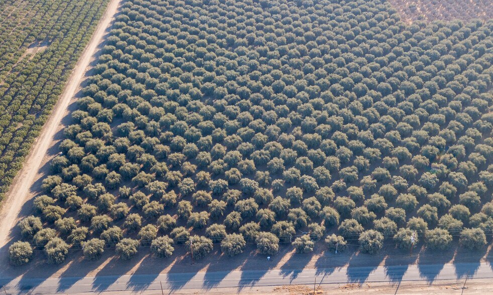 Road 224/Avenue 74, Terra Bella, CA 93270 Land For Sale