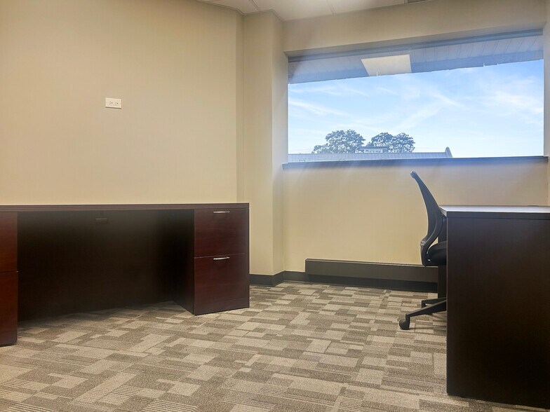 More Photos Of 333 Chestnut St, Hinsdale Medical For Lease