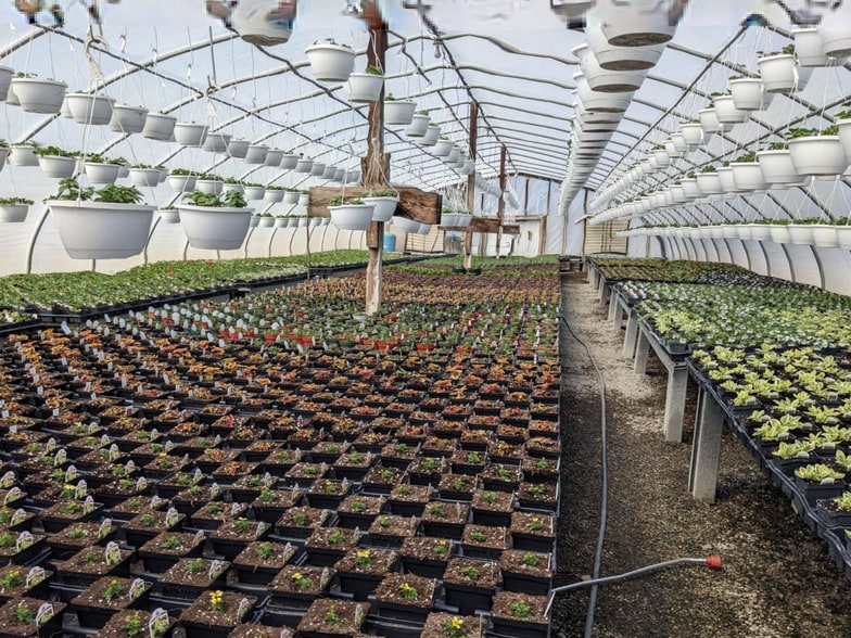 More Photos Of 73 Little York Rd, Warwick Garden Center For Sale