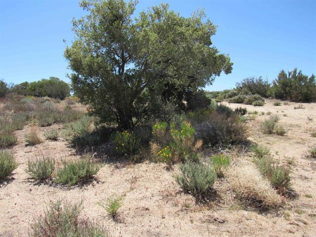 More Photos Of McCain Valley R McCain Valley rd, Boulevard Land For Sale