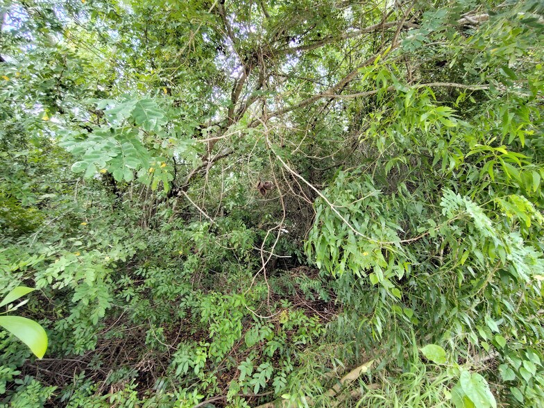 More Photos Of 5470 SE Ebbtide Ave, Stuart Land For Sale