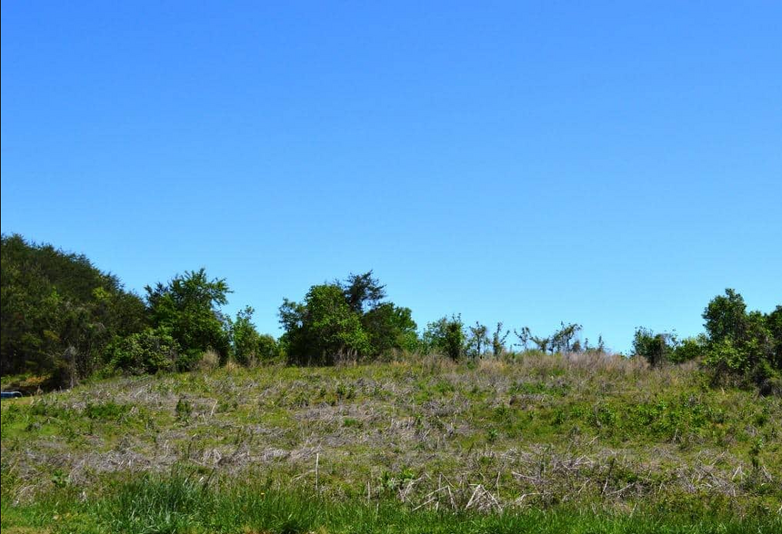 Primary Photo Of 00 Geer Hwy, Travelers Rest Land For Sale